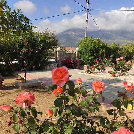 Villa Spedion Kefallonia - With Jaccuzzi
